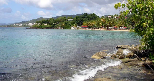 Anse Figuier Isla Martinica Francia —  Fotos de Stock