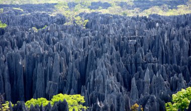 Taş Ormanı, Tsingy de Bemaraha, Calcareous Kayası - Madagaskar