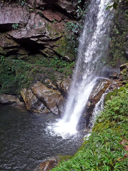 Tarapoto yakınlarındaki Huacamaillo şelalesi Peru