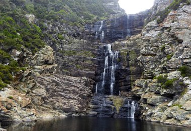 Su samurlarının şelale patikası, Tsitsikamma - Güney Afrika