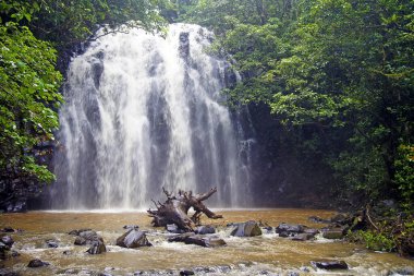 Zillie 'nin Atherton' daki şelalesi Avustralya