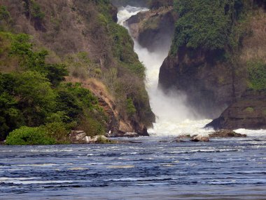 P. Nac Murchison Şelalesi - Etiyopya