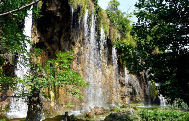 Plitvice Ulusal Parkı 'nda Şelale - Hırvatistan