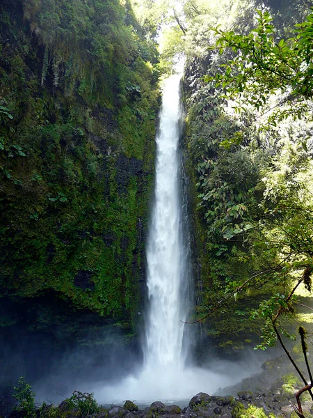 stock image Waterfall in Huerquehue National Park, Puerto Varas - Chile