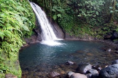 Üs Terre bölgesindeki şelaleler - Guadeloupe Adası - Fransa