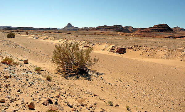 Landscape of the Sinai Desert - Egypt