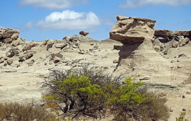 The House, in the P. Reg. of Ischigualasto also called Valley of the Moon - Argentina