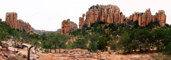 Sierra de rganos - Chihuaha Desert, Zacatecas, Mexico