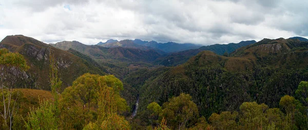 Εκπληκτικά Τροπικά Δάση Στο Εθνικό Πάρκο Franklin Της Τασμανίας Αυστραλία — Φωτογραφία Αρχείου