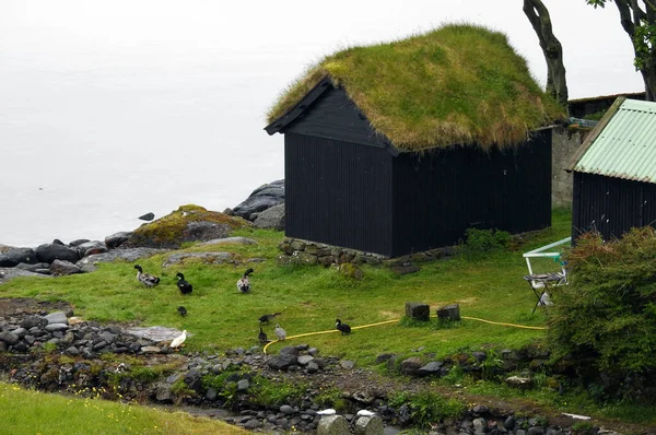 Casa Cubierta Hierba Isla Streymoy Islas Feroe Dinamarca — Foto de Stock