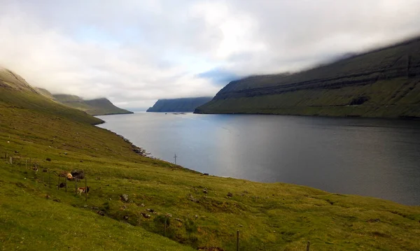 Paesaggio Kunoy Isole Faroe Danimarca — Foto Stock