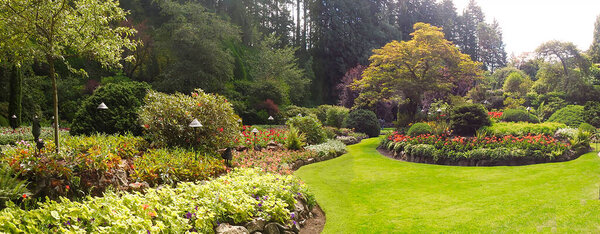 Флора, Батчарт, остров Ванкувер, Британская Колумбия, Канада