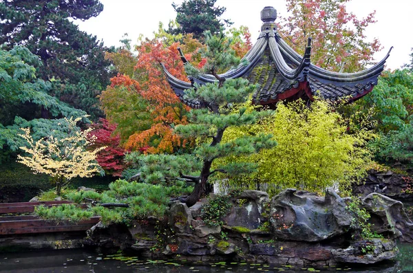 Flora Podzim Sun Yat Sen Chinese Garden Vancouver British Columbia — Stock fotografie