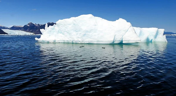 Glaciärer Laguna San Rafael Norra Isfältet Ais Region Chile — Stockfoto