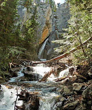 Hamilton Falls, Yoho Ulusal Parkı, Rocky Dağları, British Columbia - Kanada