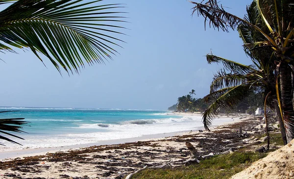 Playa Isla San Andrés Colombia —  Fotos de Stock