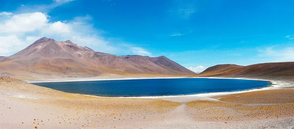 Modrá Laguna Atacama Highlands Chile — Stock fotografie