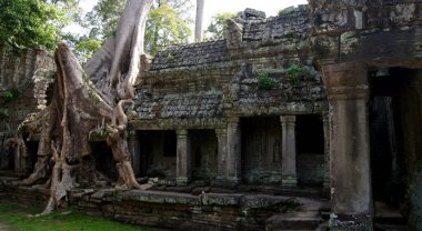 Angkor Tapınakları, Siem Reap Kamboçya