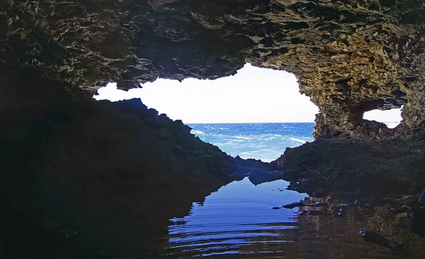 Jaskinia Kwiatu Zwierząt Wyspie Barbados — Zdjęcie stockowe