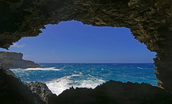 Cueva Flores Animales Isla Barbados — Foto de Stock