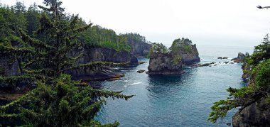 Cape Flattery in Olympic Nat. Park - Washington State, USA clipart
