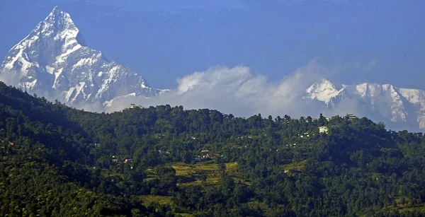 Queue Poisson Dans Chaîne Annapurna Népal — Photo