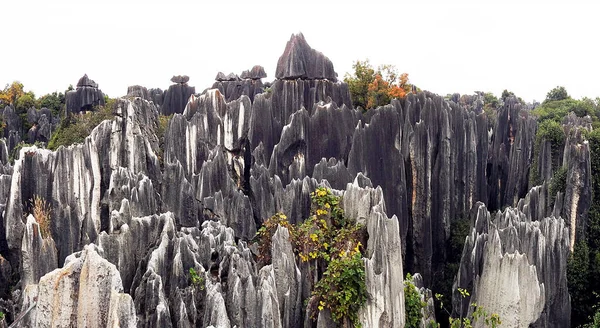 Каменный Лес Провинции Юньнань Китая — стоковое фото