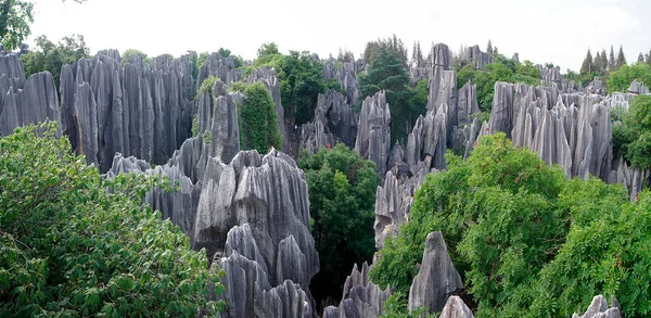 Kamienny Las Regionie Yunnan Chinach — Zdjęcie stockowe
