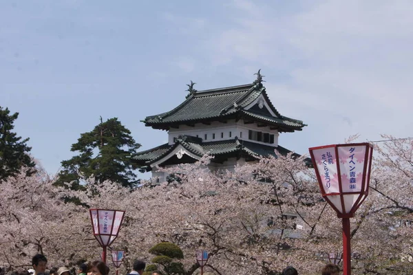 Фестиваль Сакуры Ханами Цветение Сакуры Хиросаки Япония — стоковое фото