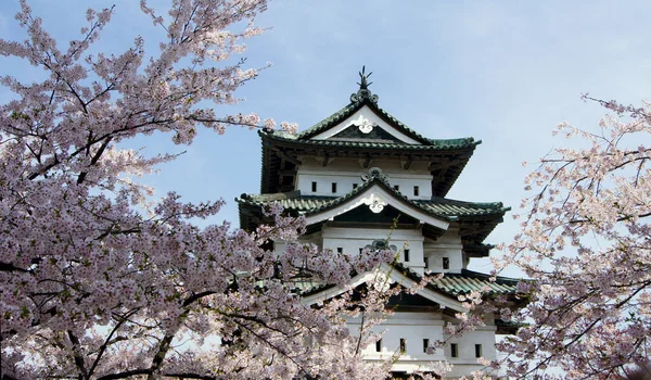 桜まつり 弘前市の桜 — ストック写真