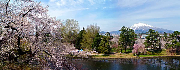 Festiwal Kwiatów Wiśni Hanami Kwiatów Wiśni Hirosaki Japonia — Zdjęcie stockowe