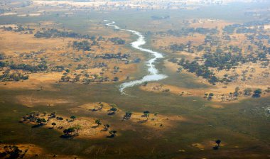 Okavango Deltası Panoramik - Botswana