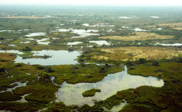 Panoramic Okavango Delta Botswana — Stock Photo, Image