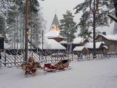 Reindeer in snowy Santa Claus Village, Rovaniemi - Finland clipart
