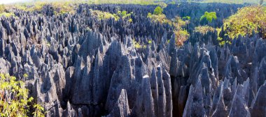 Madagaskar 'daki Tsingy de Bemaraha Ulusal Parkı