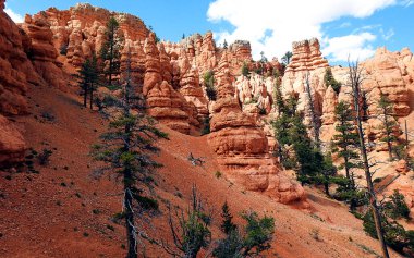 Bryce Canyon Ulusal Parkı Utah Eyaleti - ABD