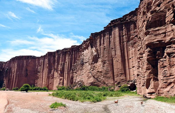 Pohled Národní Park Talampaya Argentině — Stock fotografie