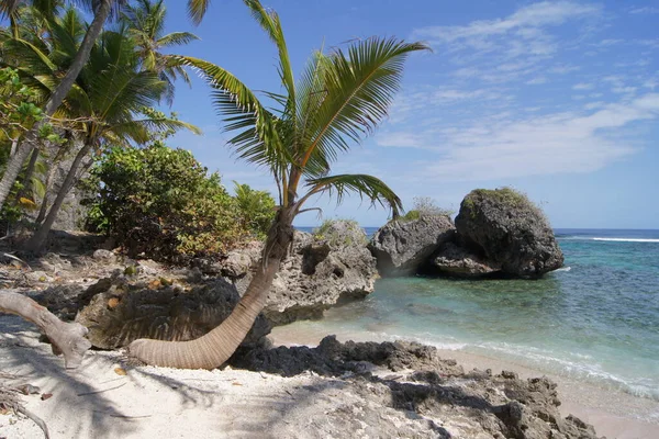 Playa Front Пеньке Самана Доминиканская Республика — стоковое фото