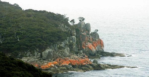 Zagrożenia Bloki Różowego Granitu Zatoce Tasmańskiej Australia — Zdjęcie stockowe