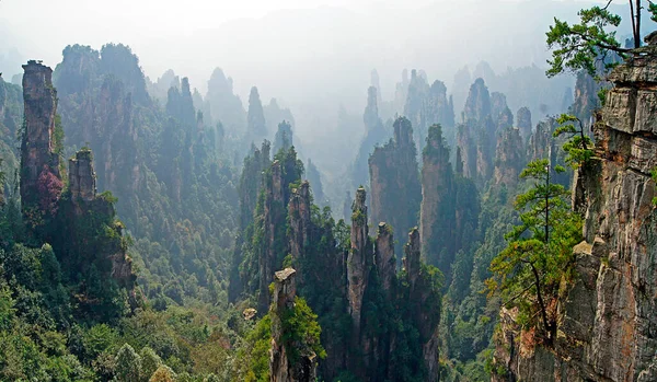 Panorâmica Parque Florestal Nacional Zhangjiajie China — Fotografia de Stock