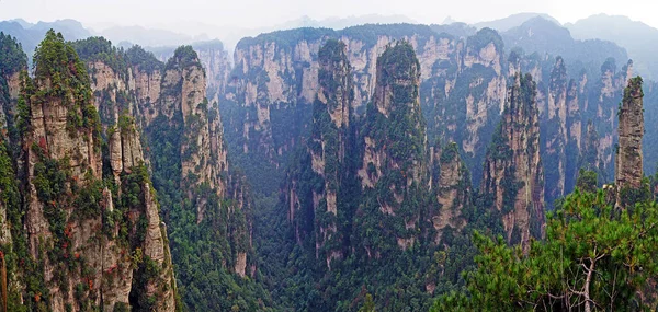 Zhangjiajie Ulusal Orman Parkı Panoramisi Çin — Stok fotoğraf