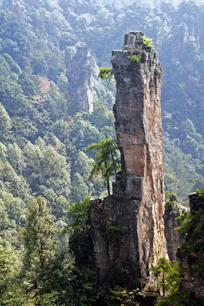 stock image Panoramic of Zhangjiajie National Forest Park - China