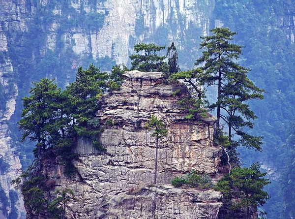 Zhangjiajie Ulusal Orman Parkı Panoramisi Çin — Stok fotoğraf