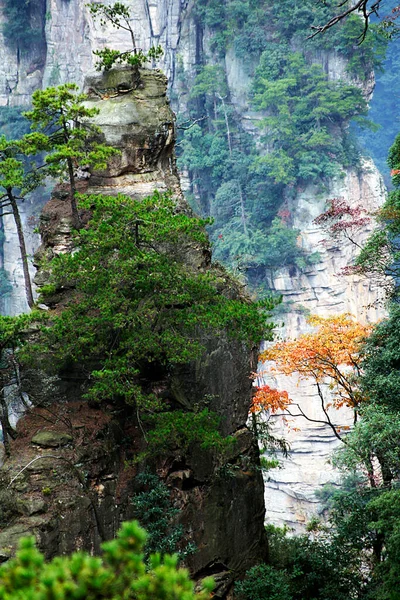 Panorama Parku Narodowego Zhangjiajie Chiny — Zdjęcie stockowe