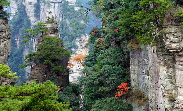 Panorâmica Parque Florestal Nacional Zhangjiajie China — Fotografia de Stock