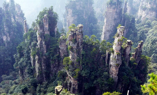 Zhangjiajie Nemzeti Park Panorámája Kína — Stock Fotó