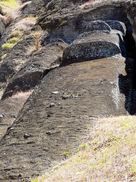 stock image Moai under construction, Easter Island, Rapa Nui - Chile