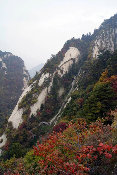 Ιερό Βουνό Χουά Χουά Σαν Κίνα — Φωτογραφία Αρχείου