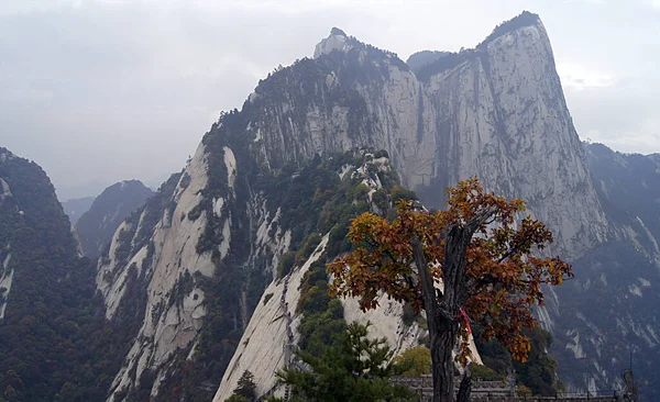 Posvátná Hora Hua Hua Shan Čína — Stock fotografie