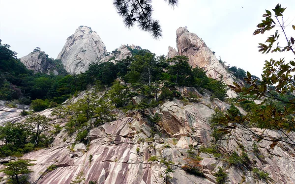 Mount Gwon Geunseong Seoraksan Nationalpark Südkorea — Stockfoto